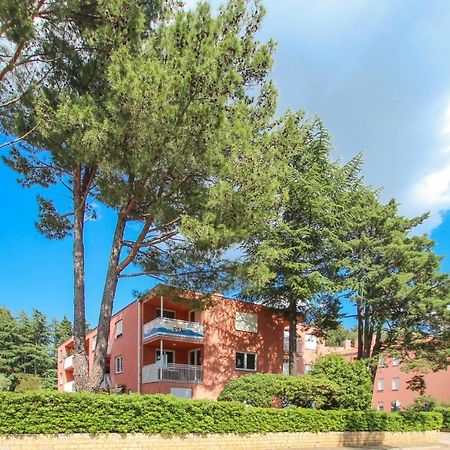 Vesna S Apartment Novigrad Istria 外观 照片