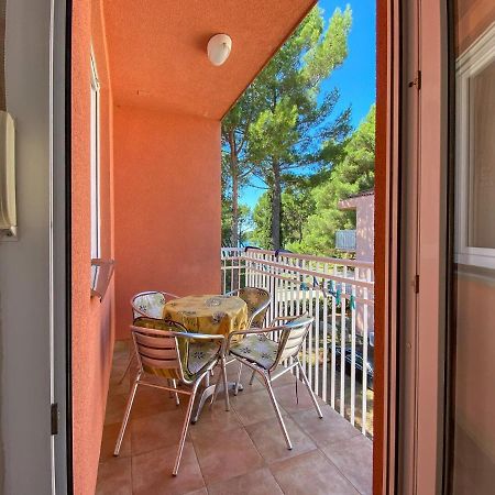 Vesna S Apartment Novigrad Istria 外观 照片