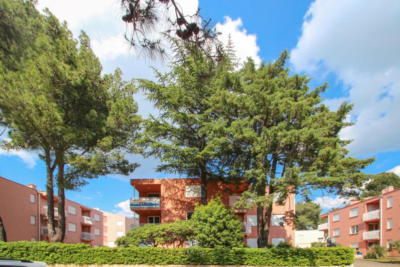 Vesna S Apartment Novigrad Istria 外观 照片