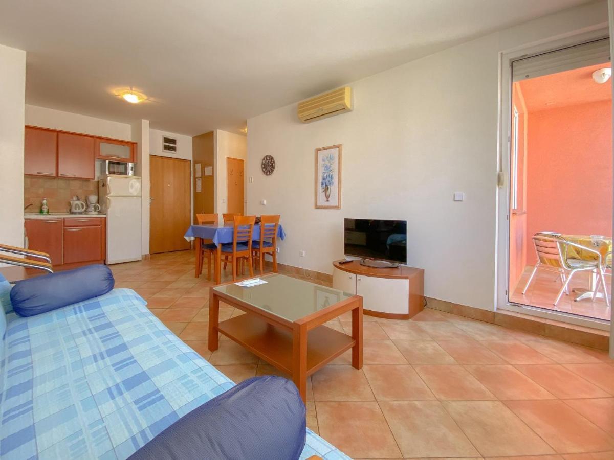 Vesna S Apartment Novigrad Istria 外观 照片