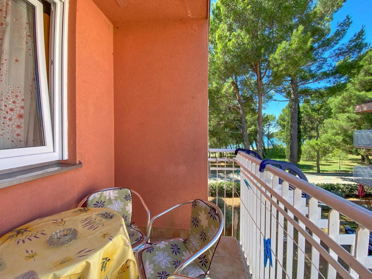 Vesna S Apartment Novigrad Istria 外观 照片